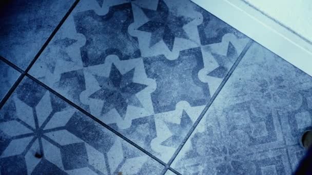 Azulejos Ceramic Tile Texture Floor Navy Blue Ornament — Stockvideo