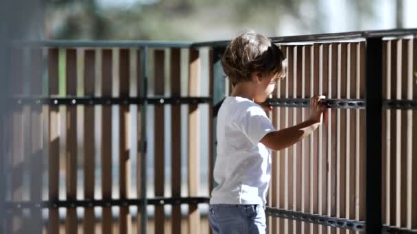 Παιδί Στέκεται Δίπλα Στο Φράχτη Μπαλκόνι Θέα Εξωτερικούς Χώρους Από — Αρχείο Βίντεο