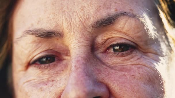 Wrinkled Senior Woman Eyes Macro Close Female Older Person Eyesight — Video