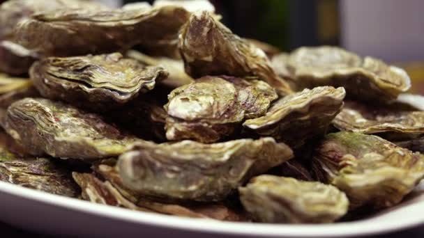 Many Oysters Piled Plate Sea Food Closed Oyster — Stock video