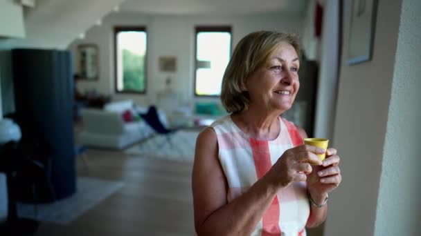 Joyful Mature Woman Standing Window Smiling Contemplative Senior Female Person — Stok video