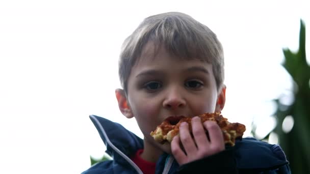 Enfant Mange Des Gaufres Belges Extérieur Petit Garçon Dégustant Une — Video