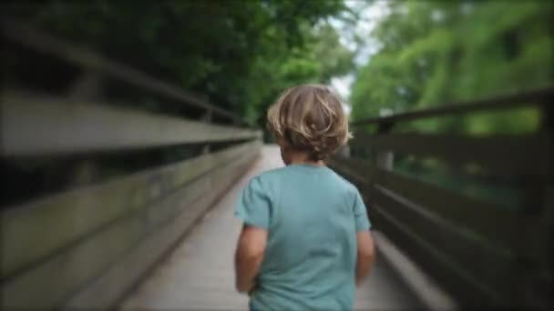 Espalda Niño Despreocupado Corriendo Puente Madera Enclavado Hermoso Bosque Vegetación — Vídeos de Stock