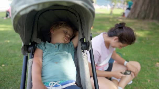 夏の晴れた日に公園に座って電話を見て母親とベビーカーの中に寝そべっている子供の昼寝 午後に目を閉じて眠っている小さな男の子 — ストック動画