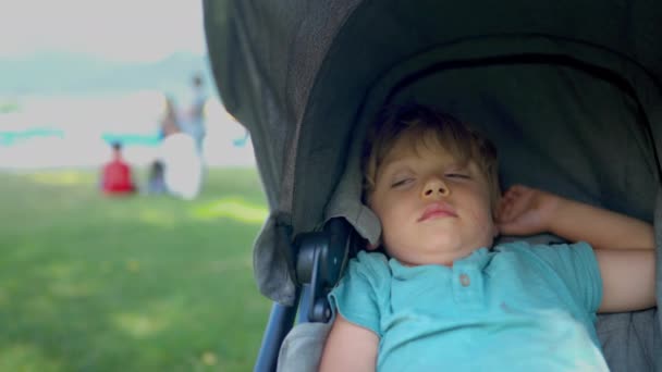 Sleeping Child Resting Stroller Park Sunny Day One Small Boy — Stockvideo