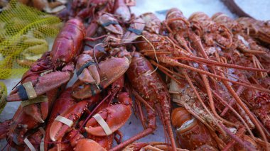 Satılık deniz ürünleri. Istakoz ve karidesler gıda pazarında sergileniyor.