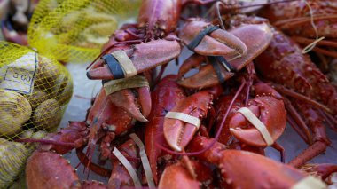 Deniz ürünleri pazarında satılık yengeç ve ıstakoz.