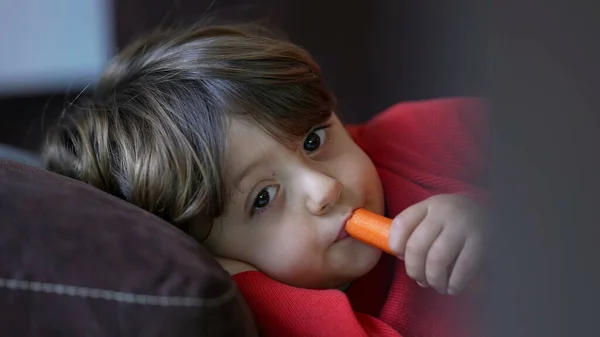 Child watching cartoon off camera lying on sofa couch at home while eating healthy snack carrot