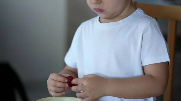 Niño Adorable Comiendo Frambuesa Con Dedo Niño Comiendo Fruta Nutrición —  Fotos de Stock
