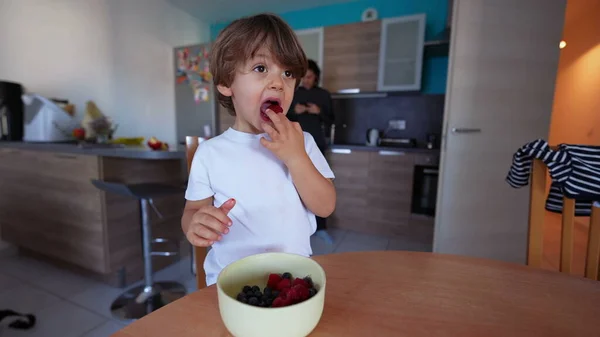 바구니에서 라즈베리 열매를 손가락으로 따는아이 귀여운 소년은 과일을 먹는다 간식먹는 — 스톡 사진