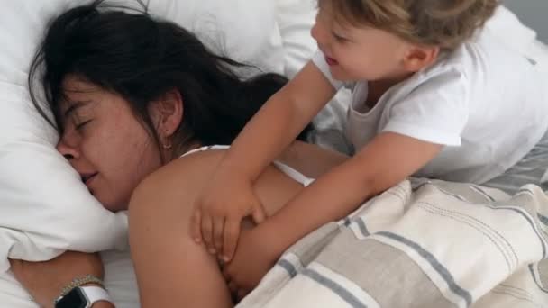 Hijo Pequeño Tratando Despertar Mamá Cama Mañana Niño Despertando Madre — Vídeos de Stock