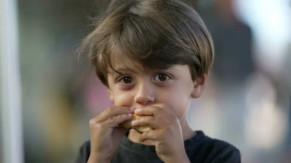 Portrét Dítěte Jak Kousek Chleba Croissantu Zblízka Tvář Jednoho Malého — Stock fotografie