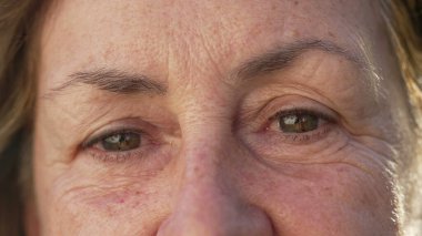 Son sınıf öğrencisi bir kadın kameraya bakan Makro Gözler 'in Makro Suratını Kapatın. Kırışık Kadın Yaşı Mutlu İfadesi Olan Yaşlı Kadın Kişiler