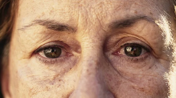 Macro Eyes Close Older Woman Looking Camera Senior Female Person — Stock Photo, Image