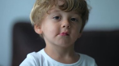 Küçük tatlı bir çocuğun portresi. Sarışın, beyaz, erkek bir çocuk.