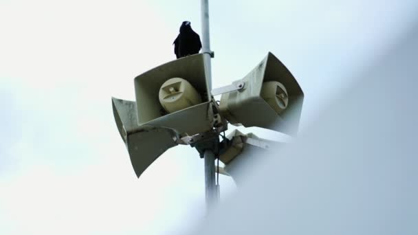 Revealing Loudspeakers Pole Megaphone Large Megaphones Alert Warnings Public — Stock Video