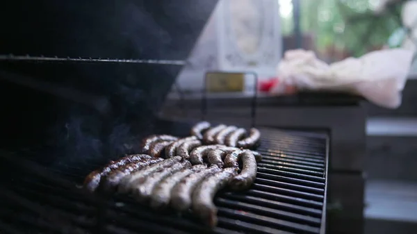 Food Barbecue Backyard Grill Close Sausages Grilling — 图库照片