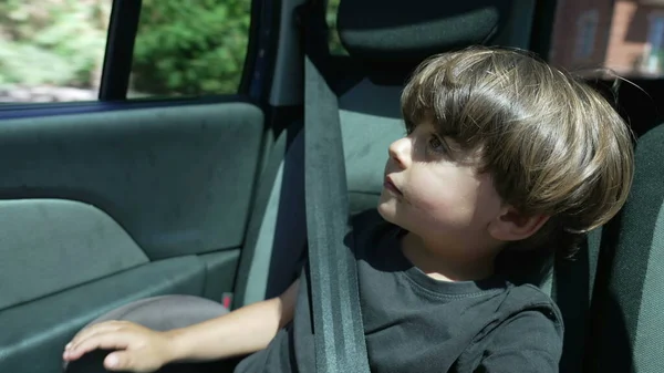Joyful Kid Traveling Road Seated Car Backseat Wearing Seatbelt Small — Stock fotografie