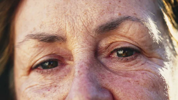 しわのあるシニア女性の目マクロを閉じます 女性高齢者カメラを見て視力 — ストック写真