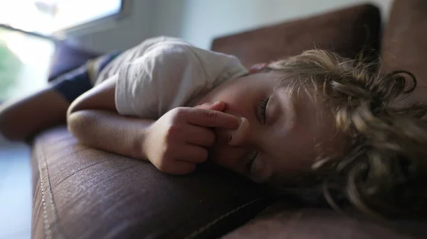 Alvó Kisfiú Szaglászik Miközben Kanapén Fekszik Egy Gyerek Alszik Kanapén — Stock Fotó