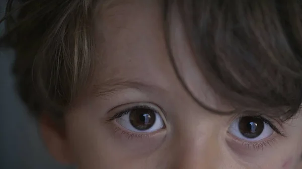 Mały Chłopiec Makro Zamknąć Oczy Twarz Dziecko Patrzące Portret Kamery — Zdjęcie stockowe