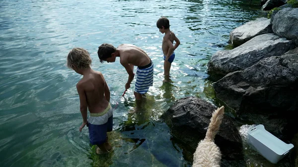 孩子们站在湖边寻找鱼 专心致志的孩子在河边寻找鱼 三个小男孩夏天在户外玩得很开心 — 图库照片