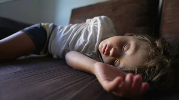 Uma Criança Dormindo Durante Sesta Tarde Sofá Adorável Menino Cochilando — Fotografia de Stock