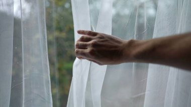 Beyaz perdelerin arkasındaki evin arka bahçesi. Sonbahar mevsiminde el sallayan yeşil bahçe