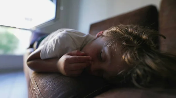 Criança Adormecida Deitada Sofá Dormir Miúdo Sono Profundo Durante Sesta — Fotografia de Stock