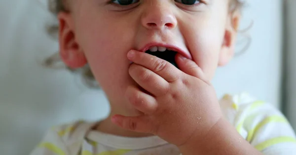 Cute Baby Boy Eating Healthy Snack Closeup One Year Old —  Fotos de Stock