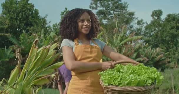 Retrato Uma Jovem Agricultora Afro Americana Uma Fazenda Comunitária Dia — Vídeo de Stock