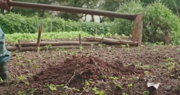 Рука Показана Помощью Лопаты Возделывания Почвы Сельской Местности Затем Человек — стоковое видео