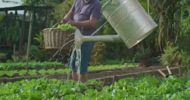 Vista Close Mostra Uma Mulher Regando Solo Uma Fazenda Comunitária — Vídeo de Stock