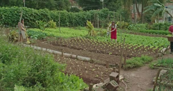 집단의 개인들 토양을 경작하고 유기농 식품을 재배하기 일하고 공동체 농장입니다 — 비디오