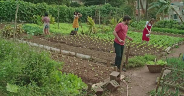 在城市农场种植和收获有机农产品的各种个人的社区 图像显示 人们倾向于种植庄稼 使用园艺工具 共同努力维持一个可持续的环境 — 图库视频影像