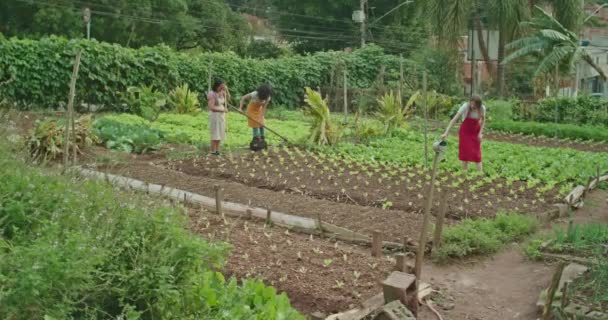 都市部のコミュニティファームでは 多様な人々が協働し 有機農産物を栽培し 持続可能な環境実践を推進しています グループは土壌を耕し 苗を植え 作物に水をやる — ストック動画