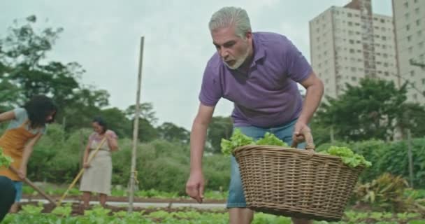 Vater Und Sohn Bauen Auf Einem Kleinen Städtischen Bauernhof Gemeinsam — Stockvideo
