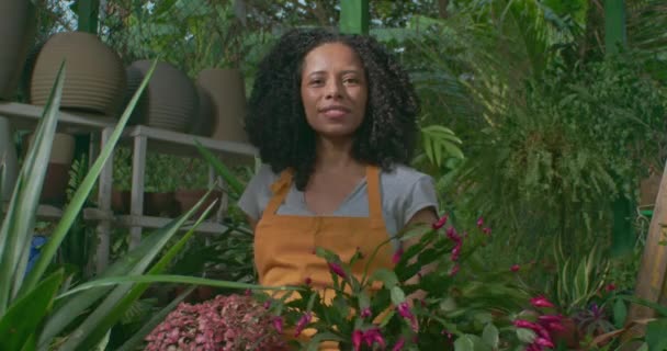 Cheerful African American Woman Wearing Apron Showing Her Plants Camera — Stock Video