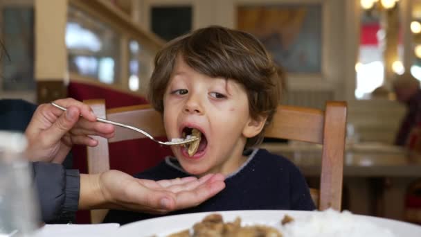 Reação Criança Comida Hot Garotinho Reagindo Uma Refeição Picante Mesa — Vídeo de Stock