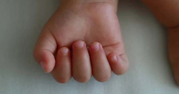 Hand Baby Infant Close — 图库照片