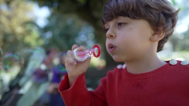 Ein Kleiner Junge Pustet Sonnigen Tagen Seifenblasen Park Glückskonzept Kind — Stockvideo