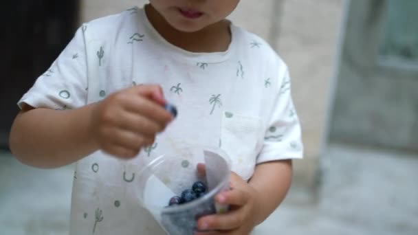 ブルーベリーを食べる子供 健康的なブルーベリーの実をつまむ外に立っている小さな男の子 栄養価の高い食べ物を — ストック動画