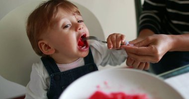 Bir yaşında, karpuz meyvesi yiyen bir bebek.