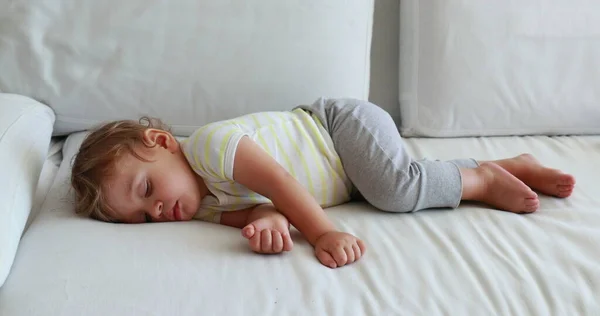 One Year Old Baby Sleeping Infant Boy Toddler Napping — 图库照片