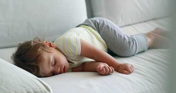 Sweet baby sleeping on couch, adorable infant on sofa napping, one year old toddler asleep