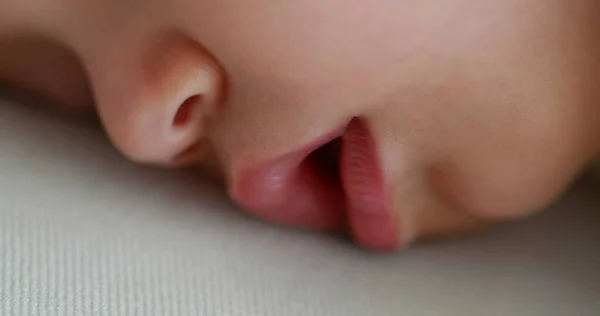 Sweet Infant Baby Face Close Sleeping Adorable Toddler Macro Closeup — Foto Stock