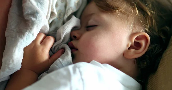 Baby Sleeping Close Infant Child Toddler Asleep — Stock fotografie