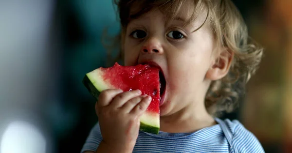 Bayi Balita Yang Lucu Makan Buah Semangka — Stok Foto