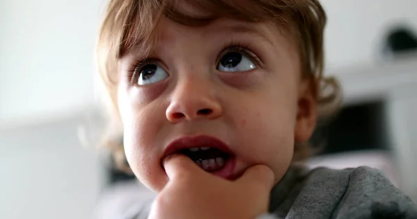 Hypnotized Little Toddler Boy Watching Media Cartoon Hand Mouth Absorbed —  Fotos de Stock