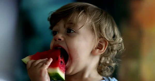 Bayi Balita Yang Lucu Makan Buah Semangka — Stok Foto